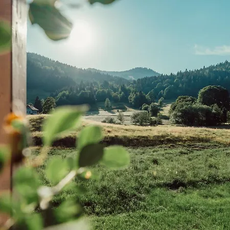 Апартаменты Forestum - Black Forest Luxury Mit Sauna Менценшванд