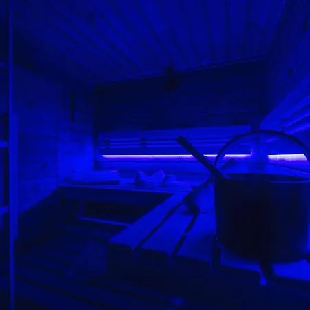 Forestum - Black Forest Luxury Mit Sauna Апартаменты Менценшванд