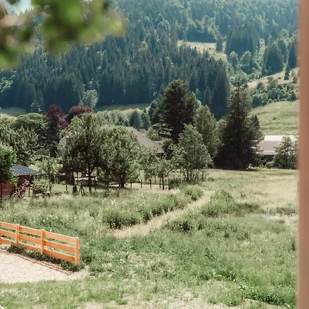 Forestum - Black Forest Luxury Mit Sauna Апартаменты *