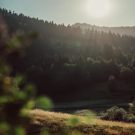 Forestum - Black Forest Luxury Mit Sauna Апартаменты Менценшванд