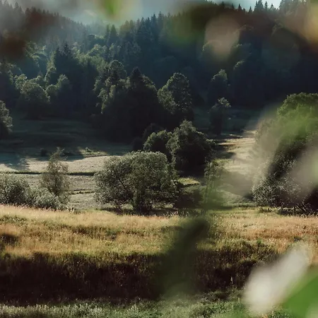 Forestum - Black Forest Luxury Mit Sauna Апартаменты *