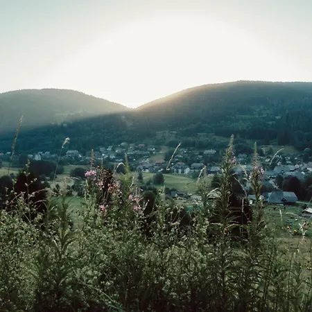 Апартаменты Forestum - Black Forest Luxury Mit Sauna