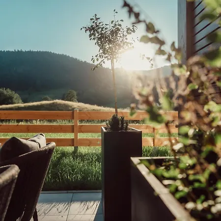 Forestum - Black Forest Luxury Mit Sauna Менценшванд