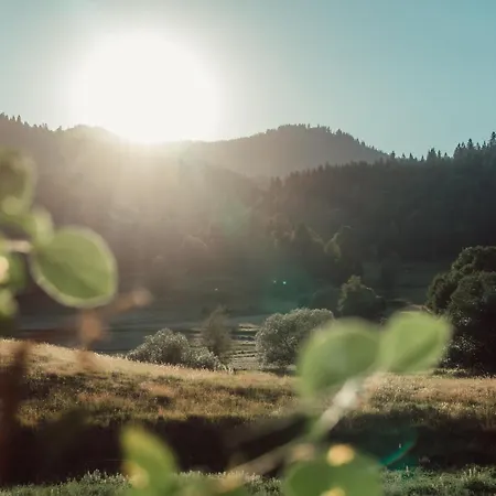 Апартаменты Forestum - Black Forest Luxury Mit Sauna Менценшванд