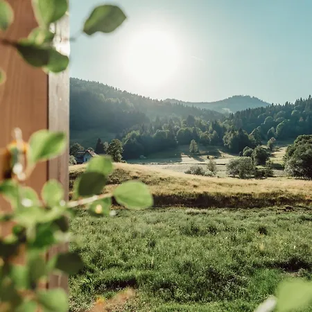 Forestum - Black Forest Luxury Mit Sauna *