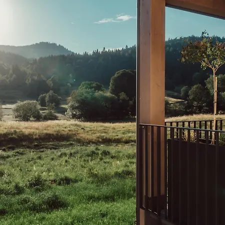 Forestum - Black Forest Luxury Mit Sauna Апартаменты Менценшванд