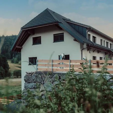 Forestum - Black Forest Luxury Mit Sauna * Менценшванд